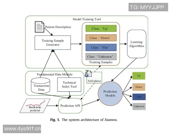 深入探讨WE耐力表现的数据分析与趋势解读